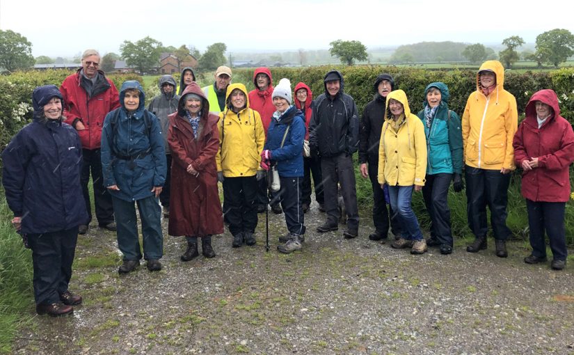 Community Walks in Hawarden and Higher Kinnerton