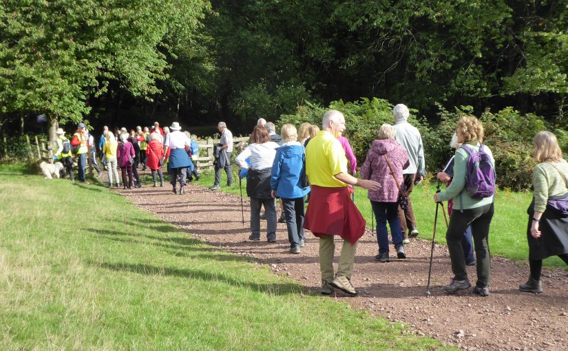 Memorial Walk